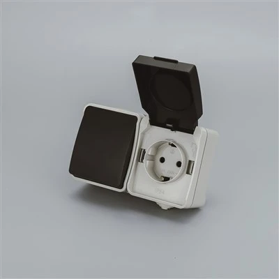 IP{0}} Gang Socket+1 Gang Switch